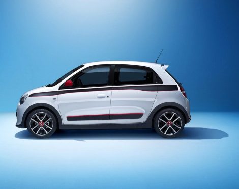 Боковой ракурс с французским коротышом